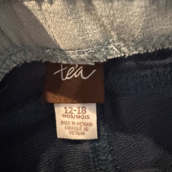 TEA COLLECTION BOYS Blue Shorts 12-18 mos - Picture 2 of 5